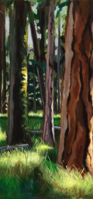 Whisper Of The Pines | 36 X 24