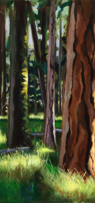 Whisper Of The Pine 36x24